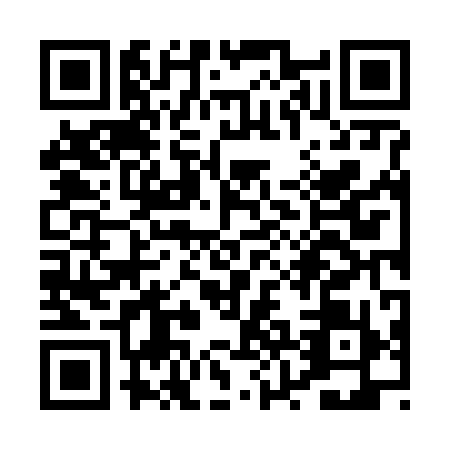 QR code for PZN6991