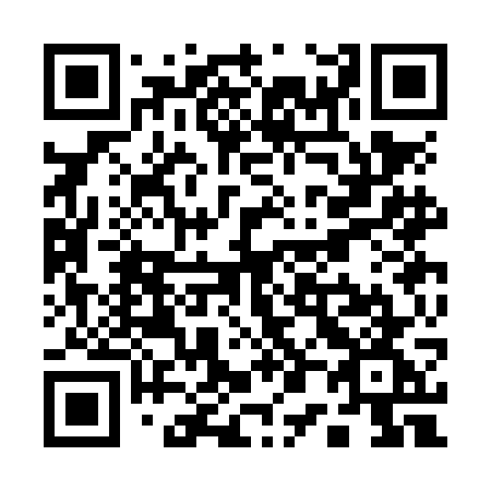 QR code for plate Q03-NGG