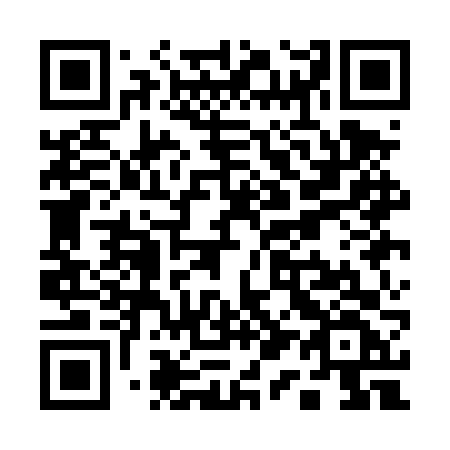 QR code for Q11-DVF