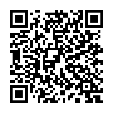 QR code for Q11-ODI