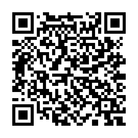 QR code for Q20ZJQ