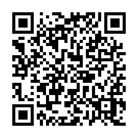 QR code for plate Q21-QIZ