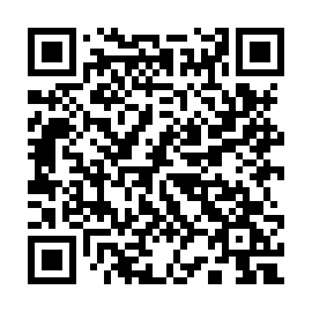 QR code for Q29HVG