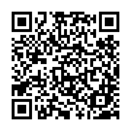QR code for Q46-TLL