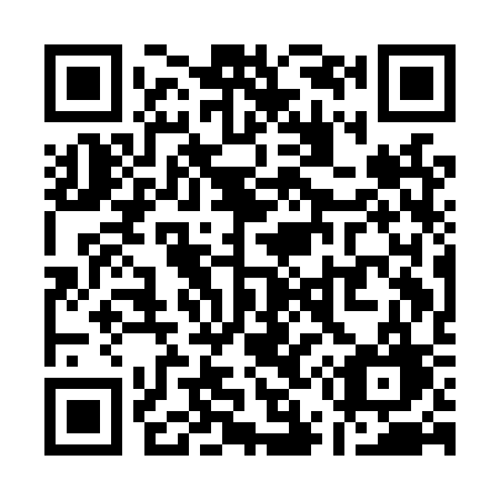 QR code for Q51-LSG