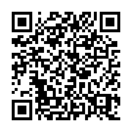 QR code for Q51-RPP