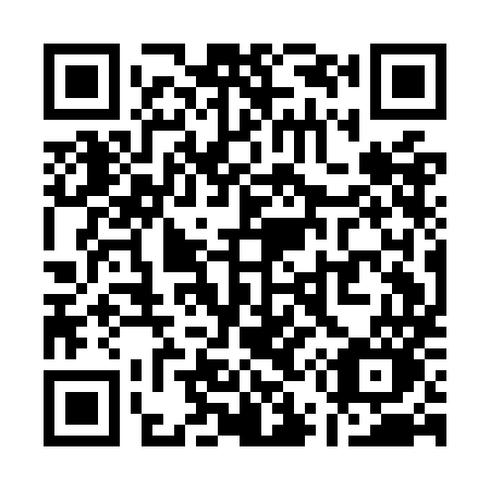 QR code for plate Q51-OMO