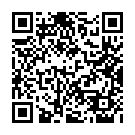 QR code for Q55-QLR