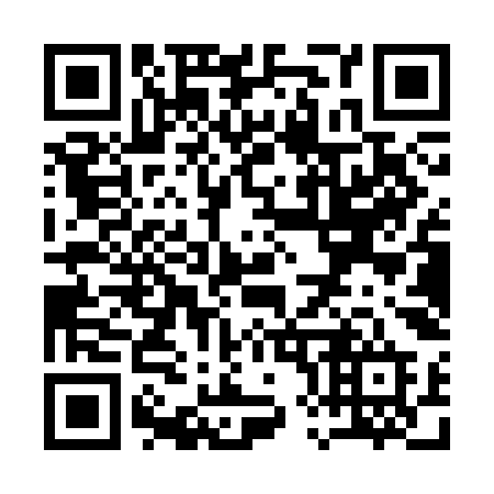 QR code for Q81-SKD