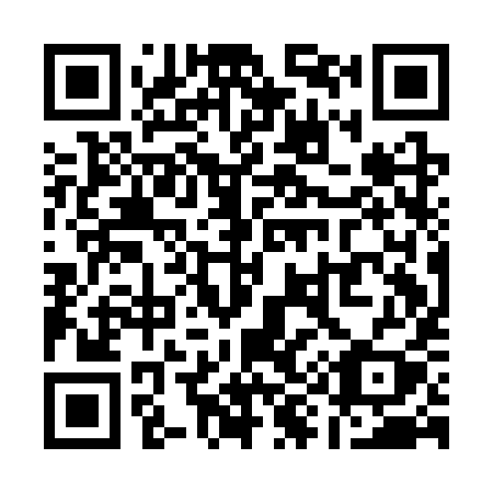 QR code for Q91-CYY