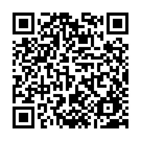 QR code for plate Q93-QZD