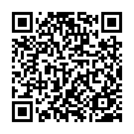 QR code for plate Q93-SPT
