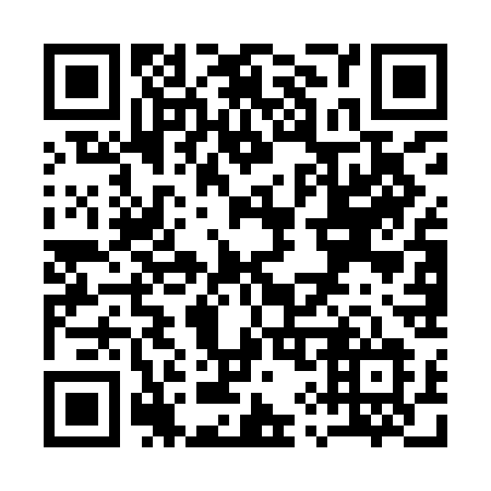 QR code for Q95-ICL