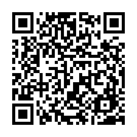 QR code for Q95-IVD