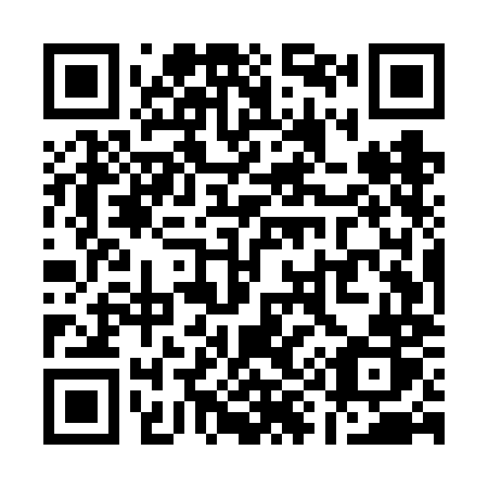 QR code for Q95-VMR