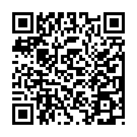 QR code for QAC-4849