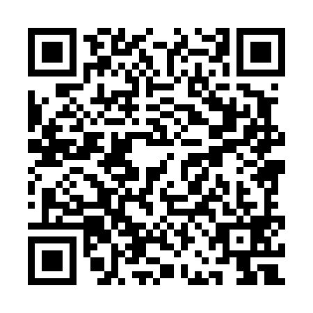 QR code for QBH4994