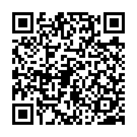 QR code for plate QDW-6481