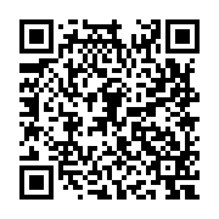 QR code for QFA993