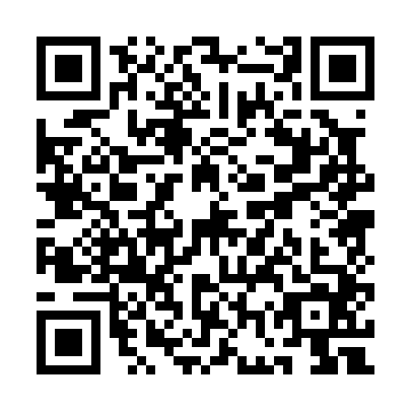QR code for QGP0446