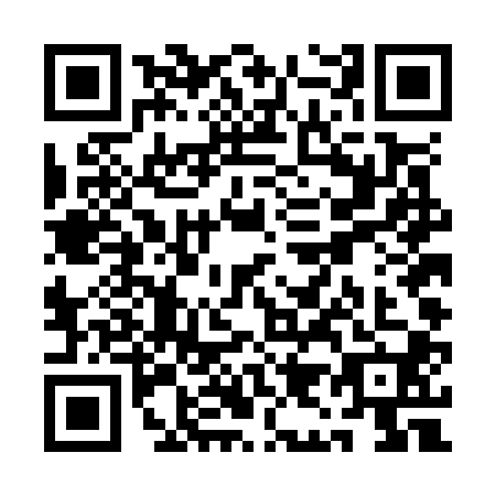 QR code for QI4-O007