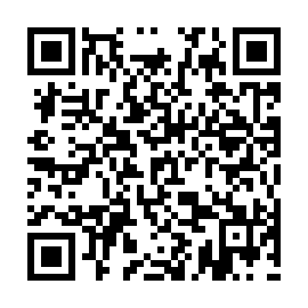QR code for plate QIM-991