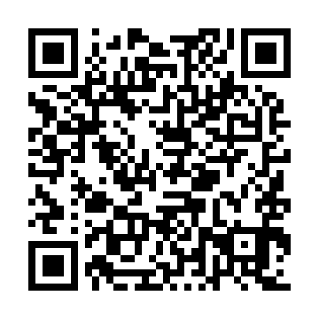 QR code for QLT-991