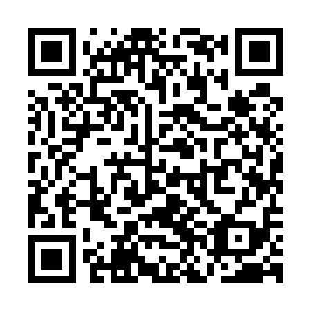QR code for QNI519