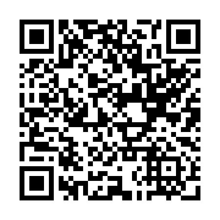 QR code for plate QNR-291