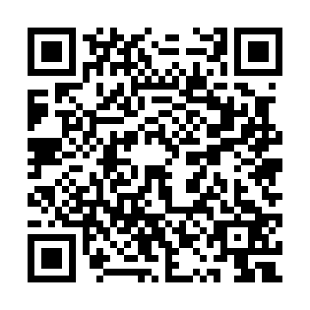 QR code for plate QQE-0234
