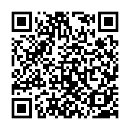 QR code for plate QQN-301