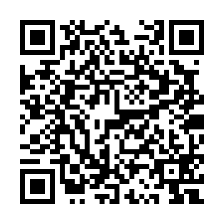 QR code for QR3-P993