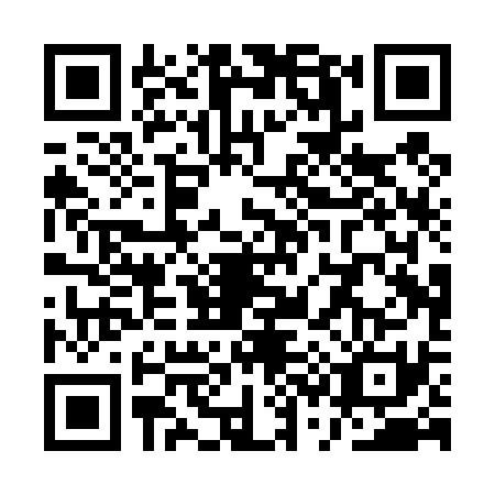QR code for plate QS0-T313