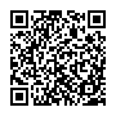 QR code for QSJ-384