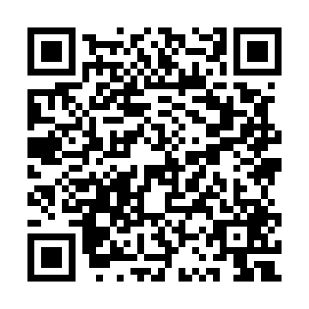 QR code for plate QSY-5493