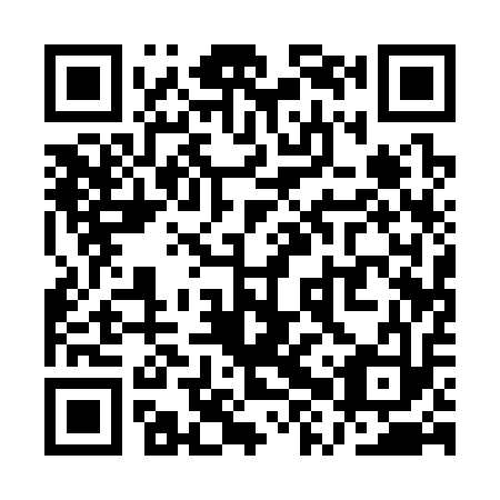 QR code for plate QXQ-313