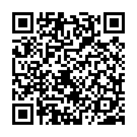 QR code for QYJ-4493
