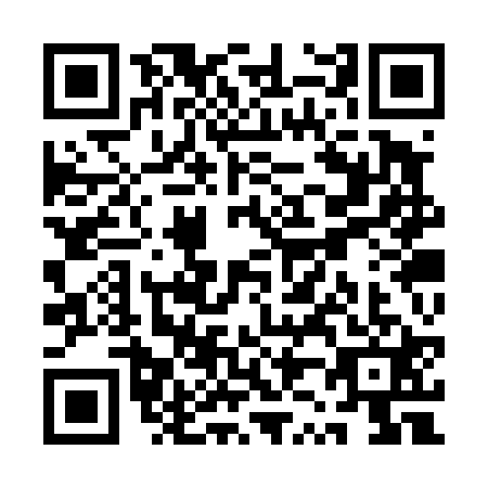 QR code for QZ3-T217