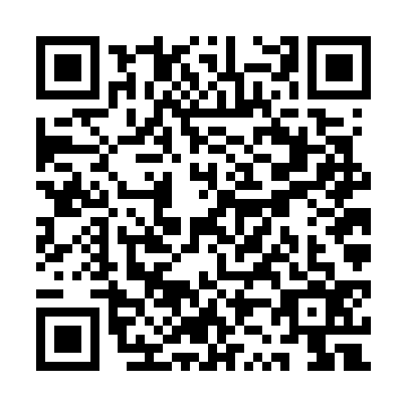 QR code for QZ6G369