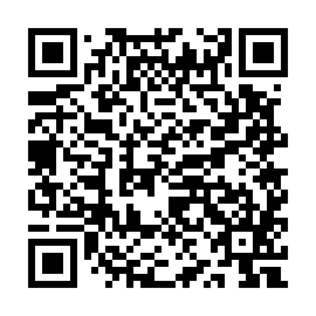 QR code for plate QZG-585