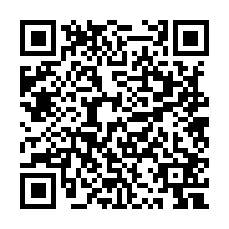 QR code for plate QZR-9029
