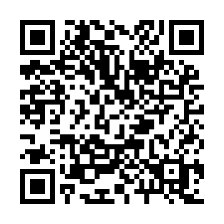 QR code for R01ICH
