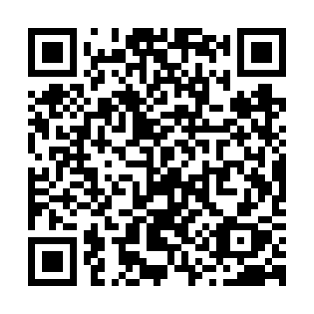 QR code for plate R11-VSX