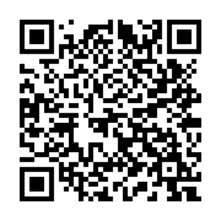 QR code for plate R13-ZQM