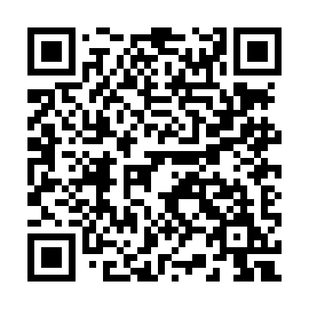 QR code for plate R20-LIM
