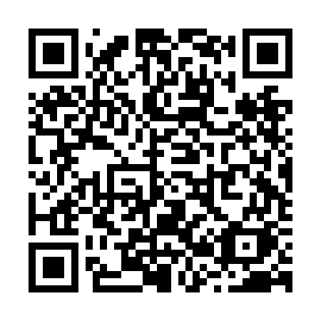 QR code for plate R22-NGK