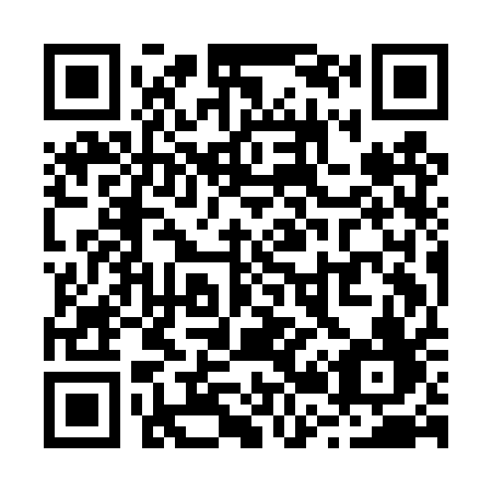 QR code for plate R29-DQF