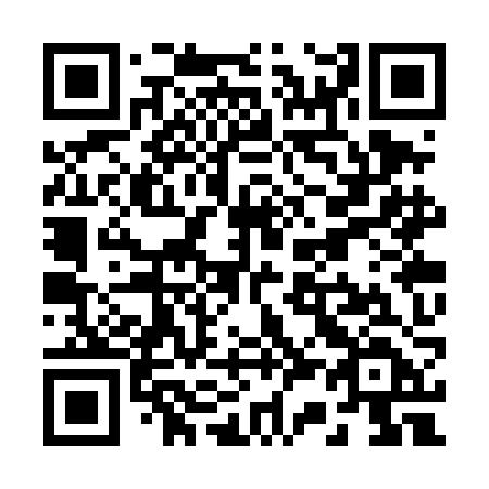 QR code for plate R33-TJD
