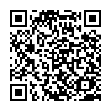 QR code for plate R36-AOM