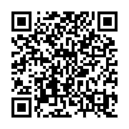 QR code for R46-ZBI